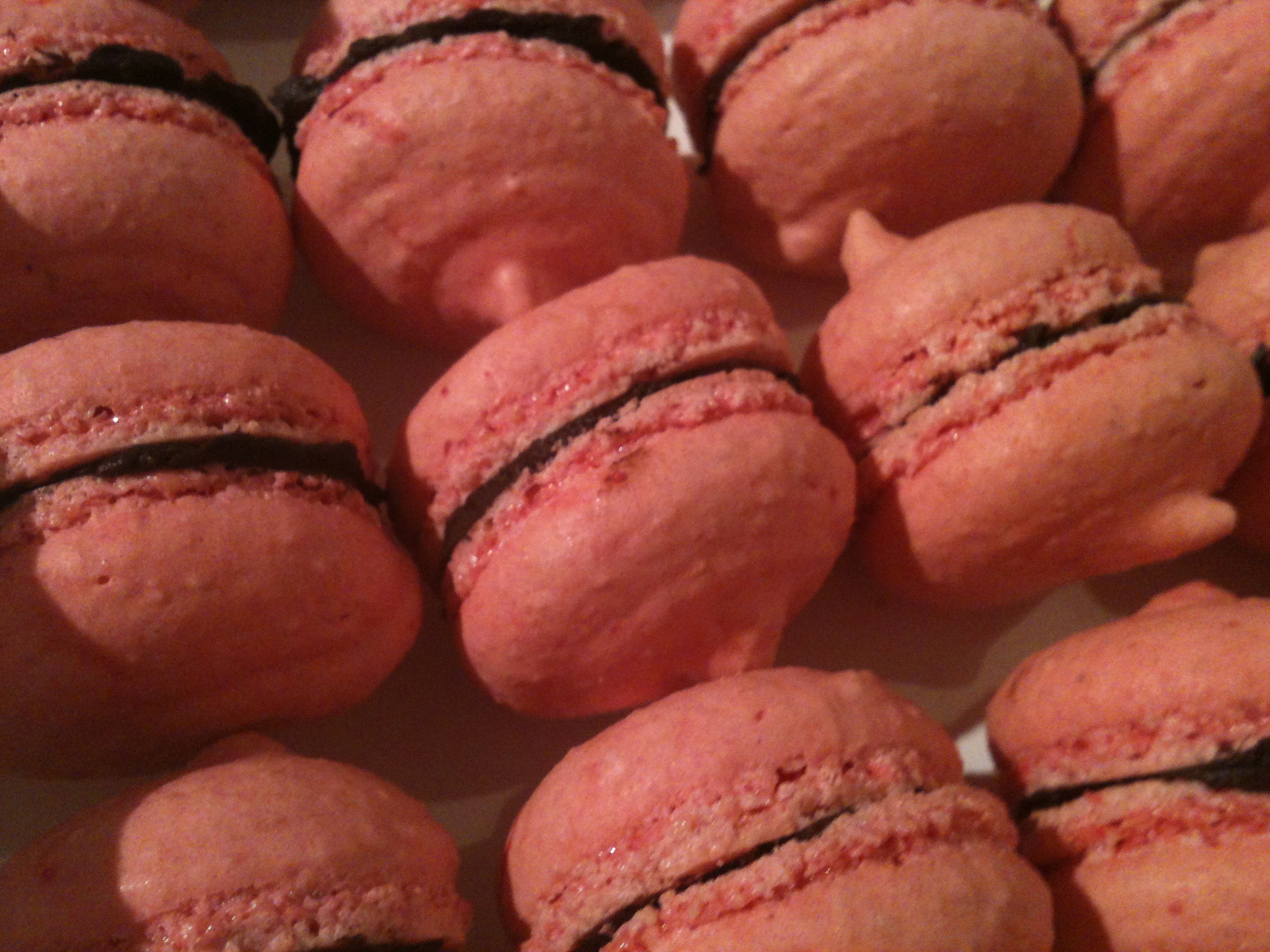 Macarons The Great British Bake Off