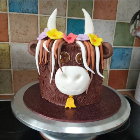 My Highland Cow