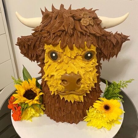Highland Cow