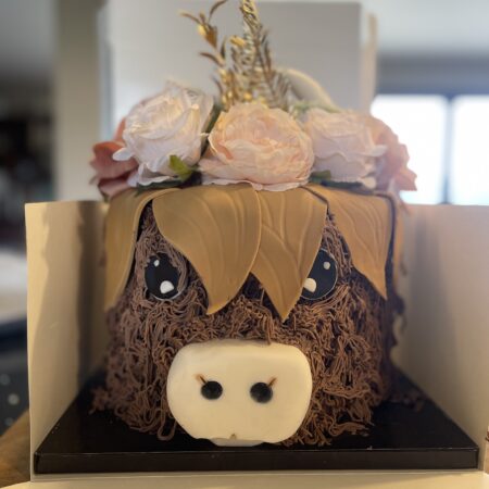 Spring Highland Coo