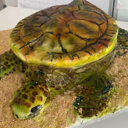 Turtle Cake