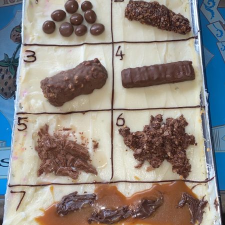Bristol Stool Chart Cake