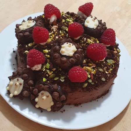 Hedgehog Picnic cake