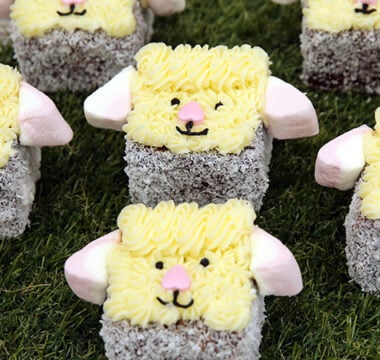 Liam Charles's Lamb-ingtons