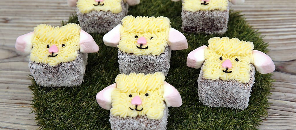 Liam Charles's Lamb-ingtons