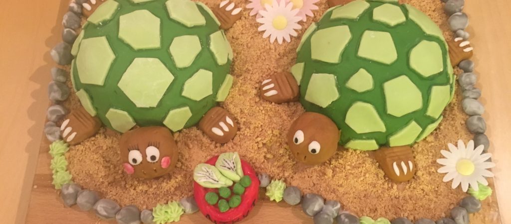 Sea Turtle Cake Tutorial - YouTube