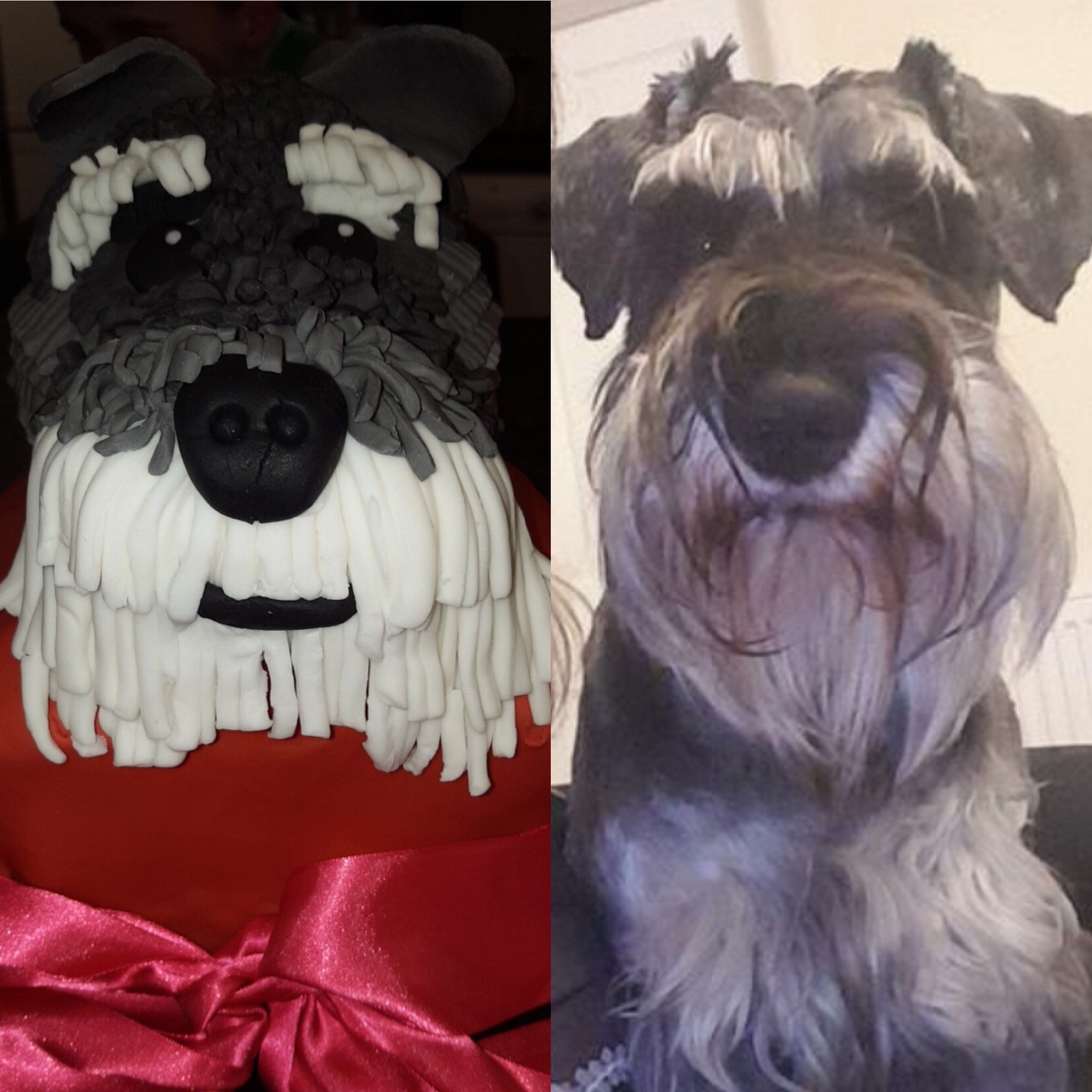 Miniature deals schnauzer cake