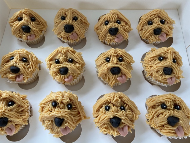 Goldendoodle cupcakes shop