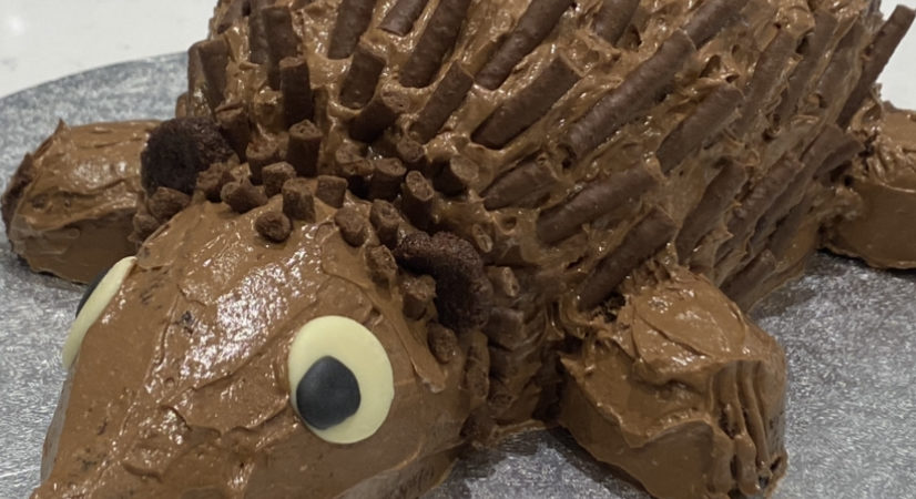 Hedgehog Cake Fails: Hilariously Terrible Baking Disasters | Cooking fails,  Cake fails, Hedgehog cake