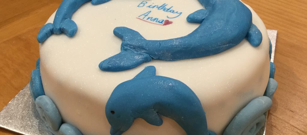 Dolphin Birthday Cake Squishy – Extreme Kawaii