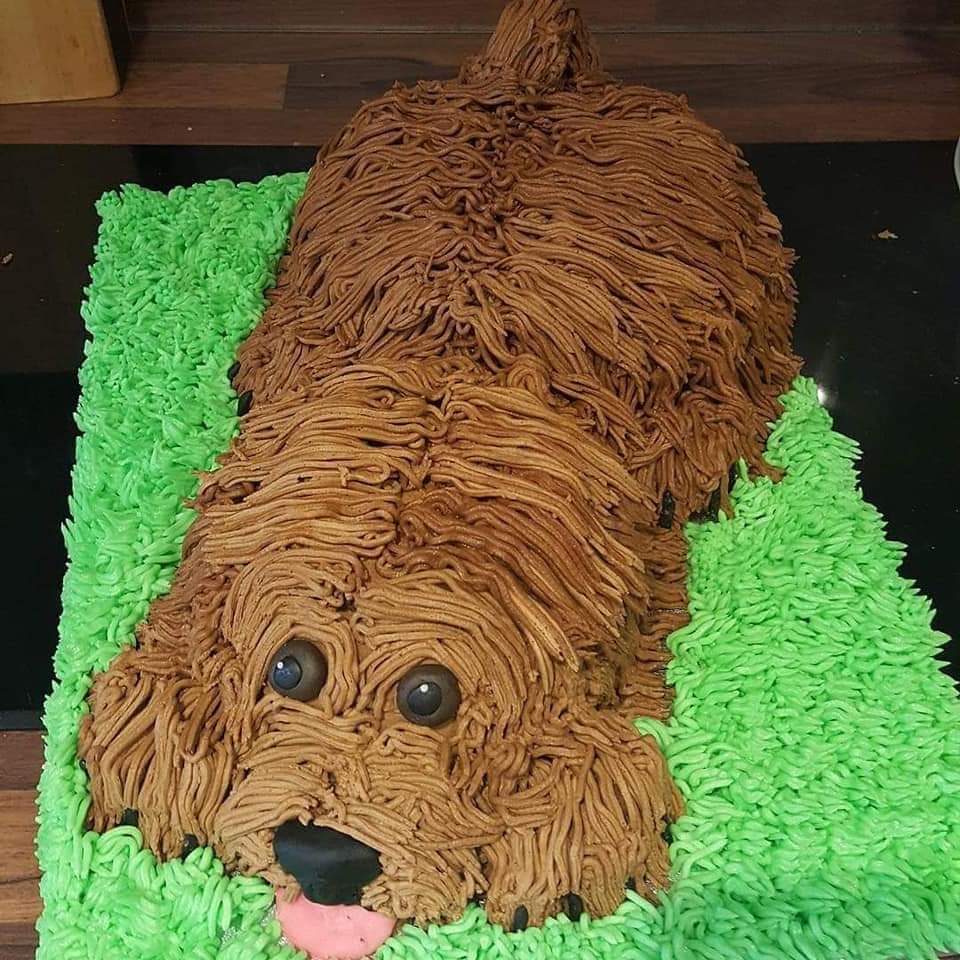 Cockapoo cake hotsell