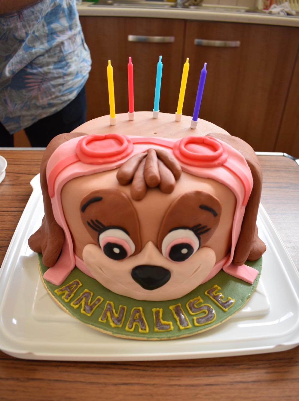Paw Patrol - Skye and Everest themed Birthday Cake. (Chocolate cake filled  with whipped … | Paw patrol birthday cake, Paw patrol birthday cake girl,  Paw patrol cake
