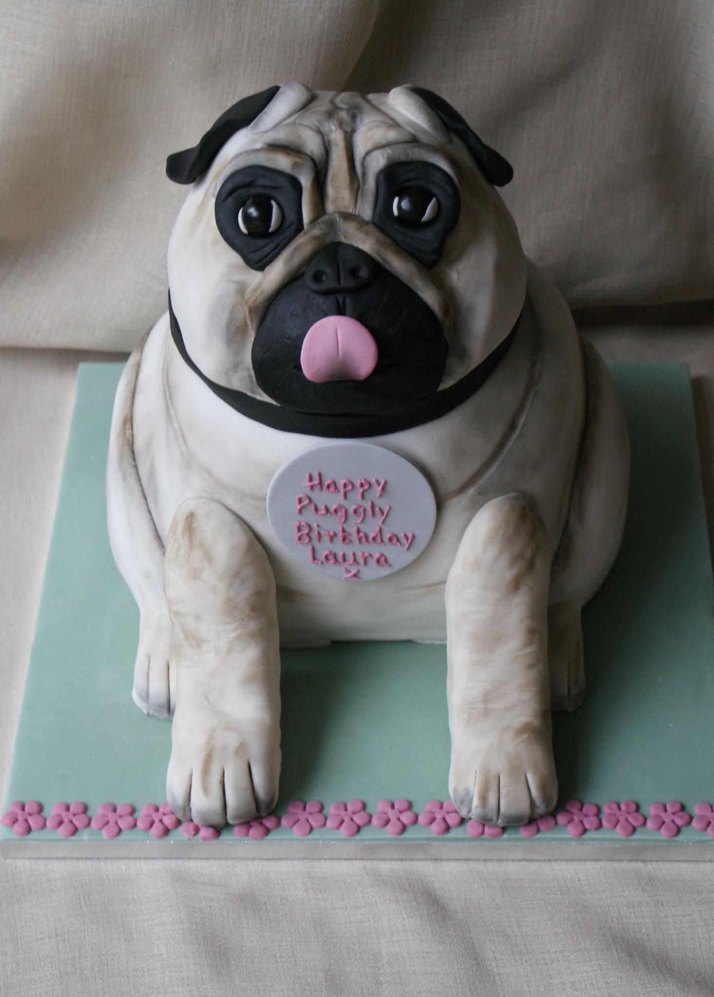 Birthday sale cake pug