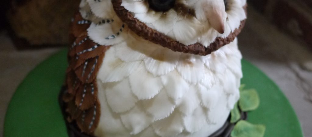 Hedwig moving owl cake - Decorated Cake by - CakesDecor
