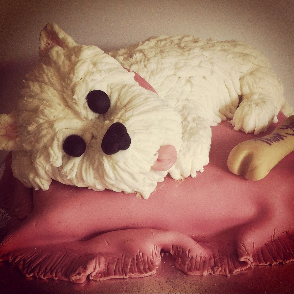 Dog cake The Great British Bake Off The Great British Bake Off