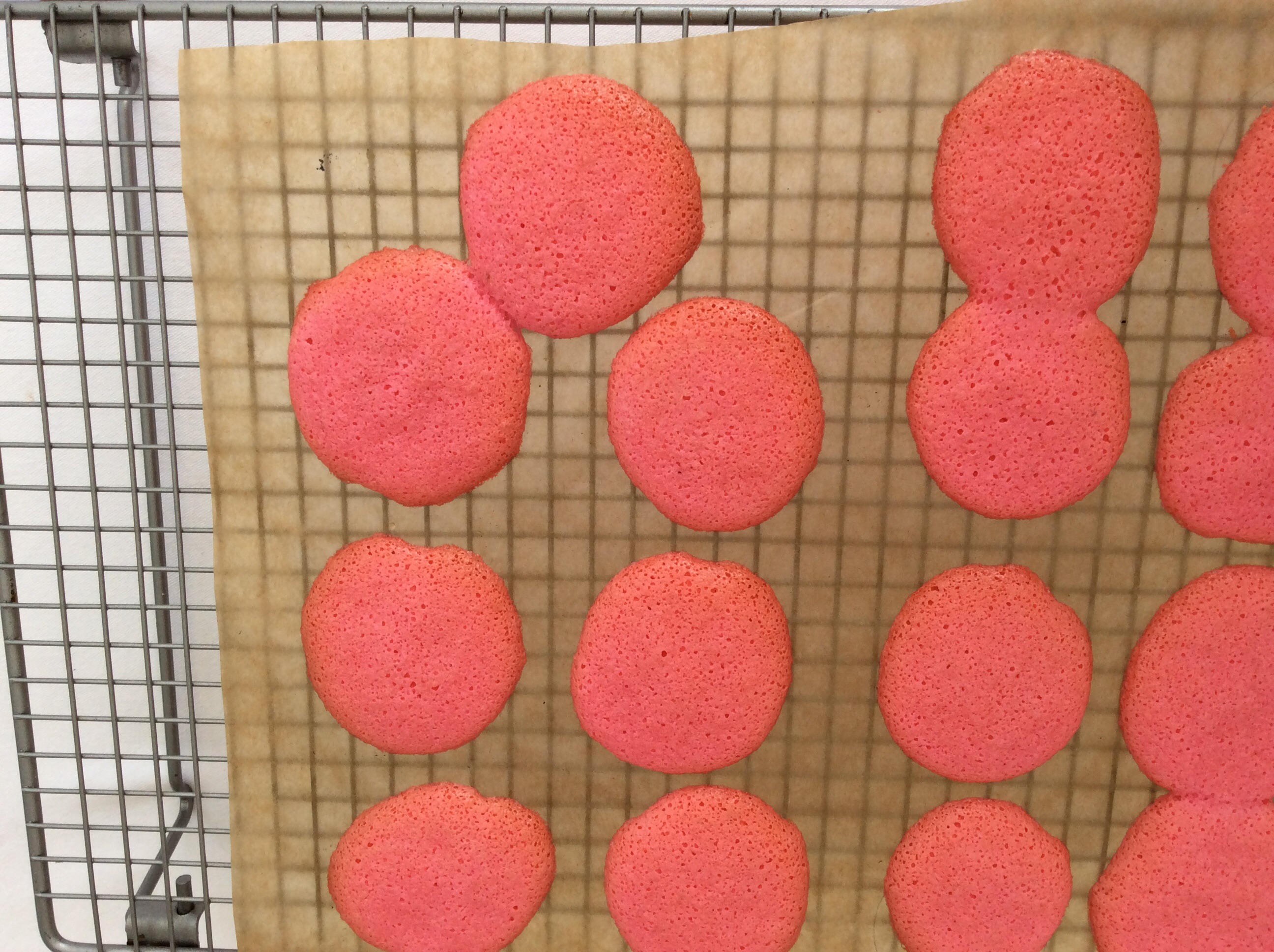 Macarons The Great British Bake Off The Great British Bake Off